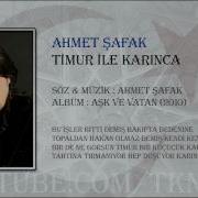 AHMET ŞAFAK TİMUR İLE KARINCA
