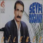 Seyfi Doğanay Arada Bir Çilekeş Şah Plak