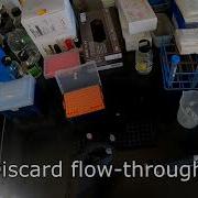 CBCH 4414 Lab FASP Protein Digestion