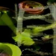 Plastic Tree Psychedelizm русские субтитры