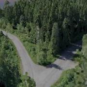 Photogrammetric Point Cloud From Forest