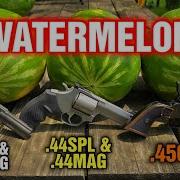 Revolvers VS Watermelons 38 Special 357 Magnum 44 Special 44 Magnum 45 Colt