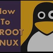 Basic Chroot Linux
