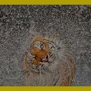 14 Winners Of National Geographic Photo Contest Awards