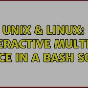 Unix Linux Interactive Multiple Choice In A Bash Script 2 Solutions