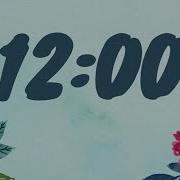 12 Minute Spring Timer With Music And Alarm