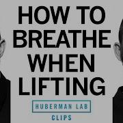 The Best Way To Breathe When Lifting Weights Dr Andy Galpin Dr Andrew Huberman