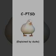 КПТСР объяснение от уток