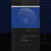 Let S Code A Donut Shorts