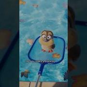 Migrationmovie Minions Illumination Animation Ducks Shorts