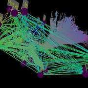 NeuroGuide Diffusion Tensor Imaging DTI And EEG And The Connetome