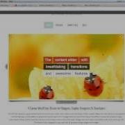 How To Use LayerSlider Plugin With WordPress Canvas