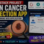 Build A Full Stack Deep Learning Skin Cancer Detection App PyTorch FastAPI React CNN Models
