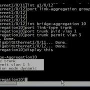 Common Command On HP And Cisco Switches