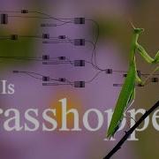 What Is Grasshopper In Rhino The Story That Changed Digital Design