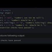 Assert Statements In Dart Programming Language
