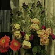 Fading Flowers In A Week S Time Time Lapse Recording