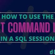 Dolt SQL Command Line Tutorial