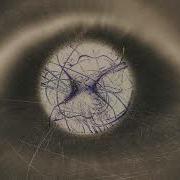 Xxanu Torn