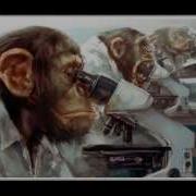 Destiny Lab PLANET OF THE APES