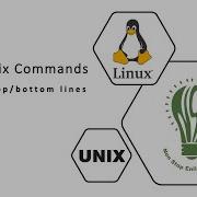 10 Fetching Top Bottom Few Lines Linux Unix Commands Head Tail