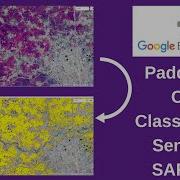 Google Earth Engine Rice Paddy Crop Classification Using Sentinel 1 SAR Data