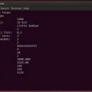 Linux Command Lscpu