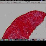 Why Is QuPath Slow Sampling With VisualVM