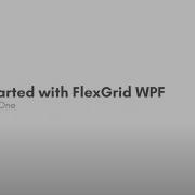 How To Use FlexGrid A WPF Datagrid Control In Your Desktop Application