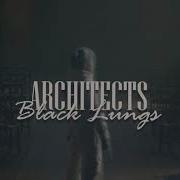 Architects Black Lungs Lyrics Video