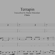 Clairo Terrapin Bass Tab