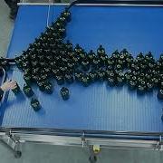 Accumulation Table Bottling Conveyor