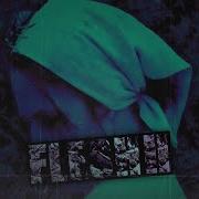 FLESH BEST OF MIX 2 Down Into The Deepest Rabbit Hole