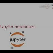 Интерактивный анализ биоизображений с помощью Python и Jupyter часть I вебинар NEUBIASAcademy