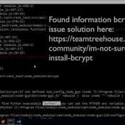 Fixing BCrypt Error On Windows