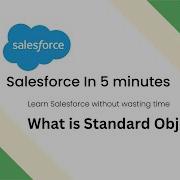 What Are Standard Objects In Salesforce Salesforce Training Videos For Beginners
