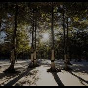 Nanite Voxel Foliage Performance And Overview Tutorial