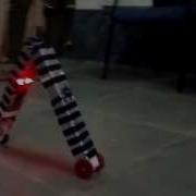Worm Bot Mp4
