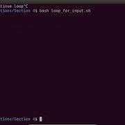 Bash Scripting Solutions Running Program Continuous Forever Looping Constructs Packtpub Com