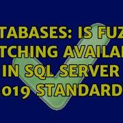 Databases Is Fuzzy Matching Available In SQL Server 2019 Standard