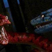 Boa VS Python Combat Final