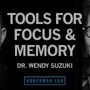 Boost Attention Memory With Science Based Tools Dr Wendy Suzuki