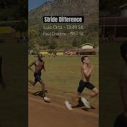 Stride Difference Between Two Elite Runners