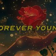 David Guetta Ava Max Alphaville Forever Young Slowed Reverb Lyrics