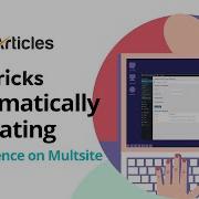 Master Multi Site On Bricks Builder Sandbox Plugin Auto License Activation Explained