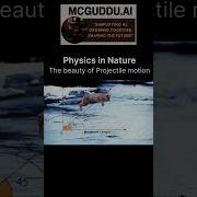 Projectile Motion Explained In 30sec Projectilemotion Projectilevideo Physics Physicsvideo