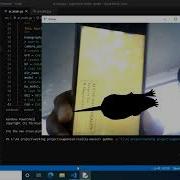Augmented Reality With OpenCV Python Rat Demo