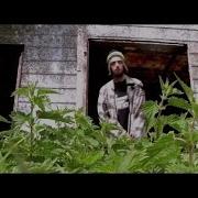 Leaf Dog Walk With Me HF TV SPECIAL