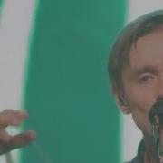 Дельфин Радиоволна