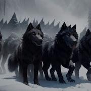Wolfwalkers We Own The Night